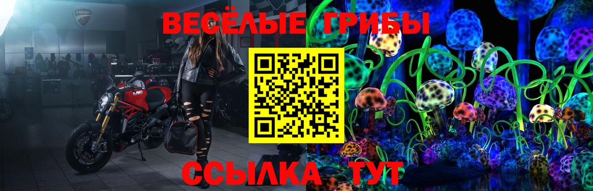 Арсеньев  Псилоцибиновые грибы ЛСД  Вход с VPN  Псилоцибиновые грибы мухоморы 